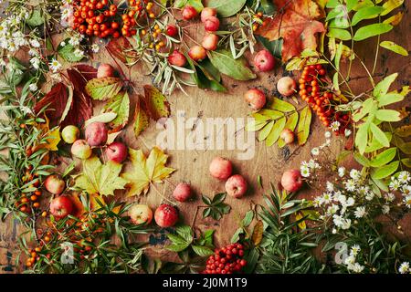 Baies de rowan rouges, petites pommes, argousier, branches de raisin sauvage, feuilles d'érable et fleurs sauvages blanches d'automne. Backgroun d'automne Banque D'Images