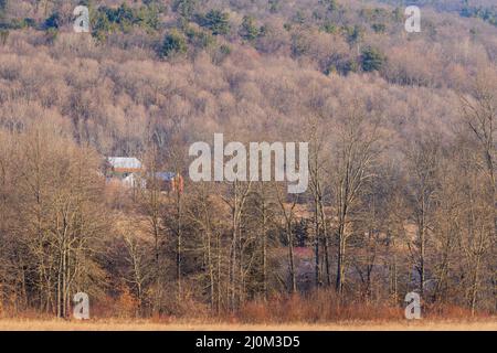 Maison de campagne au milieu de beaux paysages d'hiver dans le nord-est américain Banque D'Images