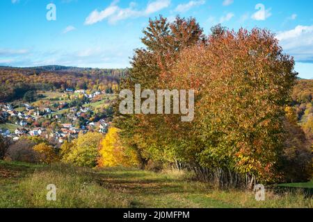 Vue aérienne sur la petite ville - champs colorés et arbres en automne Banque D'Images
