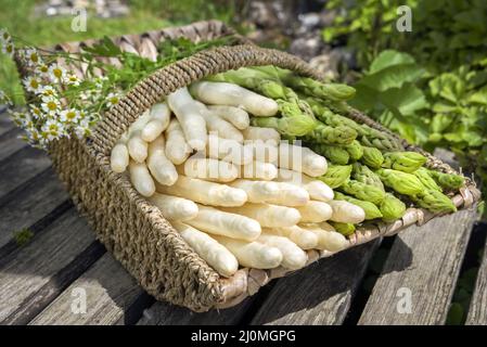 Asperges fraîches blanches et vertes crues offertes en gros plan dans un panier extérieur à un pont en bois Banque D'Images