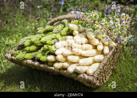 Asperges fraîches, blanches et vertes, crues offertes en gros plan dans un panier extérieur dans l'herbe Banque D'Images