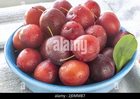 Prunes rouges mûres dans une plaque en céramique bleue Banque D'Images