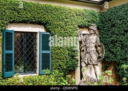 Mur de Villa Balbianello recouvert de figues rampant avec une fenêtre à volets.Lac de Côme, Italie Banque D'Images