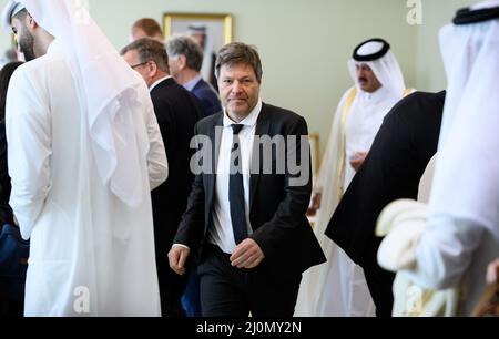 20 mars 2022, Qatar, Doha: Robert Habeck (Bündnis 90/Die Grünen), ministre allemand de l'économie et de la protection du climat, quitte une salle de réunion au ministère du Commerce et de l'Industrie après ses entretiens avec le ministre du Commerce et de l'Industrie du Qatar. Le ministre de l'économie et de la protection du climat, Habeck, effectue une visite de trois jours dans le golfe Persique. Il tient de nombreuses discussions au Qatar et aux Émirats arabes Unis (eau) sur les importations possibles d'énergie en provenance des États du Golfe. En conséquence de la guerre d'Ukraine, l'Allemagne veut réduire sa dépendance vis-à-vis des importations d'énergie russe. Photo: Bernd von Jutrczenka/dpa Banque D'Images