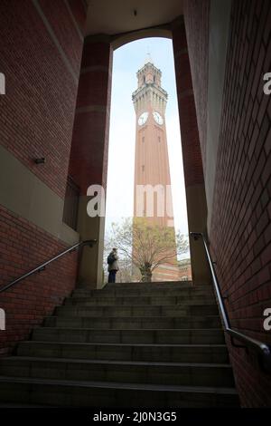 Joseph Chamberlain Memorial Clock Tower à Birmingham Banque D'Images