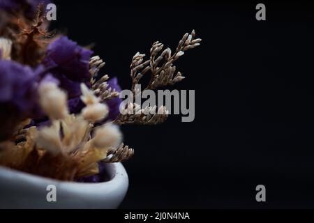 Vue rapprochée de la fleur dans un vase Banque D'Images