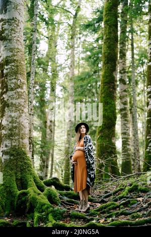 La femme enceinte se tient sur les racines d'un arbre dans une plantation de bouleau dans le parc Banque D'Images