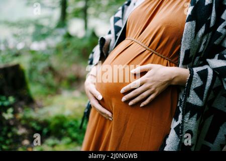 La femme enceinte se hante du ventre avec les mains dans le parc vert Banque D'Images
