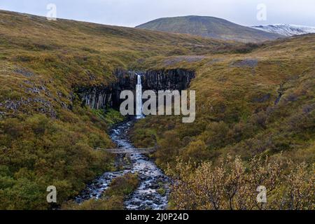 Pittoresque cascade Svartifoss (islandais pour la cascade noire, entouré de colonnes de basalte de lave foncé) vue d'automne, Skaftafell Banque D'Images