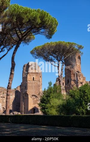 Les Thermes de Caracalla dans la ville de Rome, Italie. Ruines des anciens bains publics romains (thermae) de 216 après J.-C. Banque D'Images