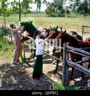 Vintage Italie 1970s, élégant couple d'âge moyen visite l'élevage de chevaux, la campagne romaine ranch, Lazio, Europe Banque D'Images