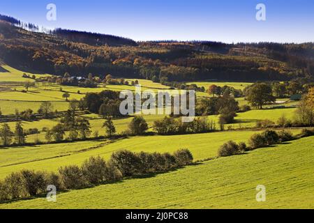 Paysage dans la vallée d'Ebbebach au-dessous de la Nordhelle, Herscheid, Sauerland, Allemagne, Europe Banque D'Images