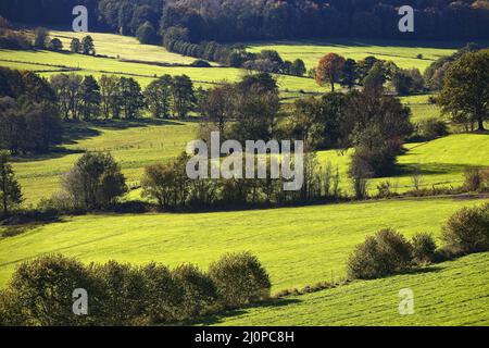 Paysage dans la vallée d'Ebbebach au-dessous de la Nordhelle, Herscheid, Sauerland, Allemagne, Europe Banque D'Images