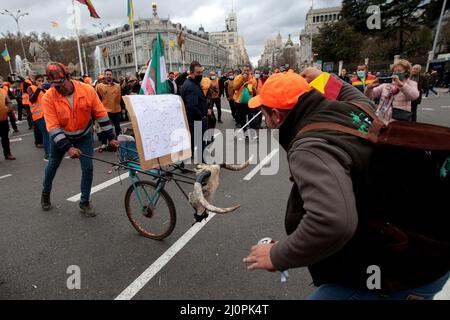 Madrid, espagnol. 20th mars 2022. Madrid, Espagne; 20.03.2022.- des milliers d'agriculteurs, de éleveurs et de chasseurs de toute l'Espagne manifestent à Madrid pour revendiquer un avenir pour le monde rural et critiquer les politiques gouvernementales. Ils exigent le respect de la loi sur la chaîne alimentaire. Crédit : Juan Carlos Rojas/dpa/Alay Live News Banque D'Images