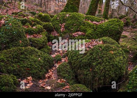 Formations rocheuses dans Devil's Canyon . Banque D'Images