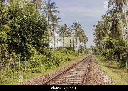 Trains au Sri Lanka. Paysage tropical. Banque D'Images