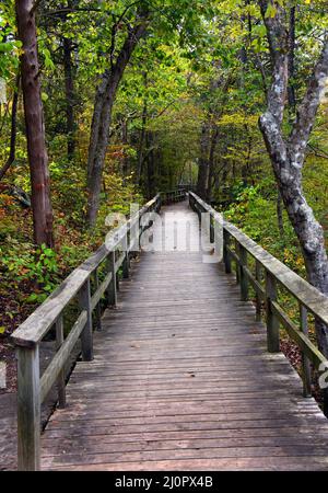 Une passerelle en bois mène à la vue sur les ruines de Mitchell's Mill dans le terrain de jeux des grottes de Blanchard Springs. La passerelle disparaît dans une distance cu Banque D'Images