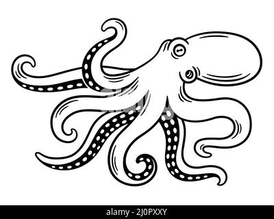 Gravure ancienne octopus, dessin noir et blanc. Illustration vectorielle isolée. Illustration de Vecteur