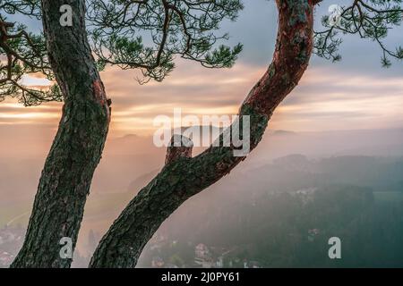 Vue panoramique sur les montagnes de grès de l'Elbe dans la lumière du matin Banque D'Images