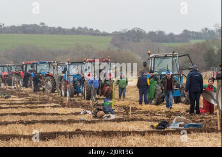 Kilmeen, West Cork, Irlande. 20th mars 2022. Un match de labour a eu lieu aujourd'hui sur les terres de John et Declan Buttimer, Rossmore. Un grand nombre de concurrents ont participé à ce qui est l'avant-dernier match de labour de la saison avec le match Kilbrittain le week-end prochain. Crédit : AG News/Alay Live News Banque D'Images