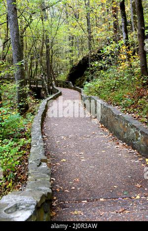 La passerelle en courbure, dans les grottes de Blanchard Springs, dans l'Arkansas du Nord, disparaît au loin et le sentier boisé menant aux cavernes. Banque D'Images