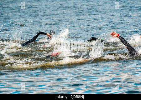 Nageurs de triathlon dans l'eau Banque D'Images