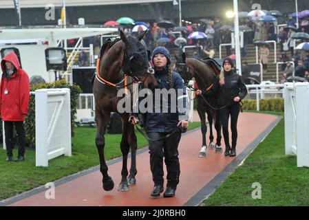 Des chevaux défilent devant le plan d'attaque de Cross Country de 4,10 étant en tête autour de l'anneau de parade Jour 2, course au Cheltenham Gold Cup Fest Banque D'Images