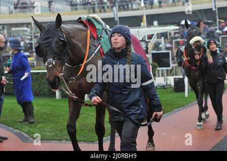 Des chevaux défilent devant le plan d'attaque de Cross Country de 4,10 étant en tête autour de l'anneau de parade Jour 2, course au Cheltenham Gold Cup Fest Banque D'Images