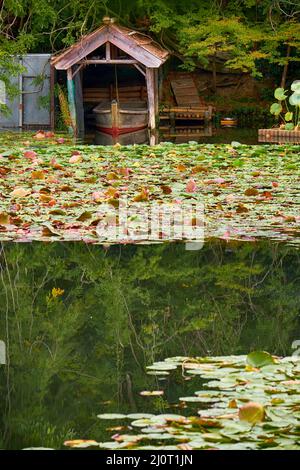 Étang de Kyoyochi – le jardin aquatique du temple de Ryoan-ji. Kyoto.Japon Banque D'Images