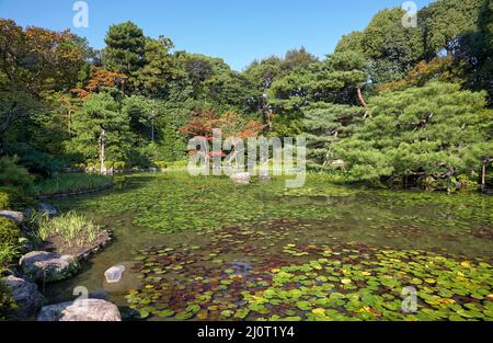 L'étang de Soryu-ike au Naka Shin-en (jardin du milieu) du sanctuaire de Heian-jingu. Kyoto. Japon Banque D'Images