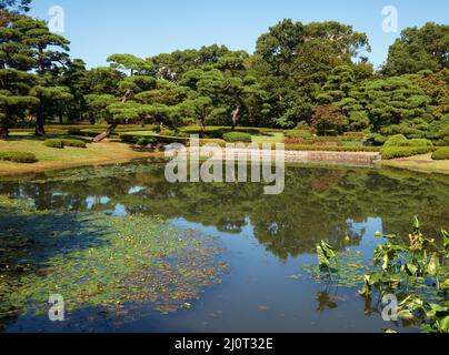 Étang dans le jardin de Ninomaru au Palais impérial de Tokyo. Tokyo. Japon Banque D'Images