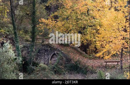 Paysage d'automne dans un ancien pont lapidé et feuilles d'érable jaune sur les arbres et le sol. Banque D'Images