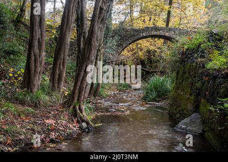 Paysage d'automne dans un ancien pont lapidé et feuilles d'érable jaune sur les arbres et le sol. Banque D'Images