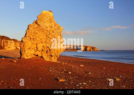 Sea Stack à Blast Beach, Seaham, comté de Durham, Angleterre, Royaume-Uni. Banque D'Images