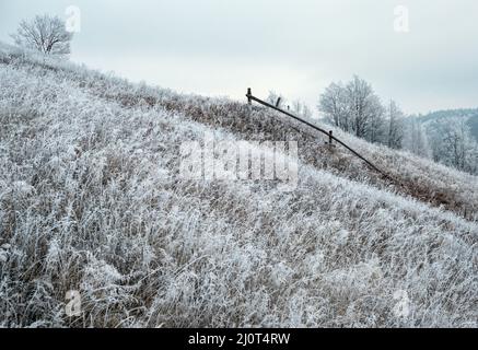 L'hiver approche.Scène pittoresque avant le lever du soleil au-dessus de la fin de l'automne campagne de montagne avec du givre sur les herbes, les arbres, les pentes.PE Banque D'Images