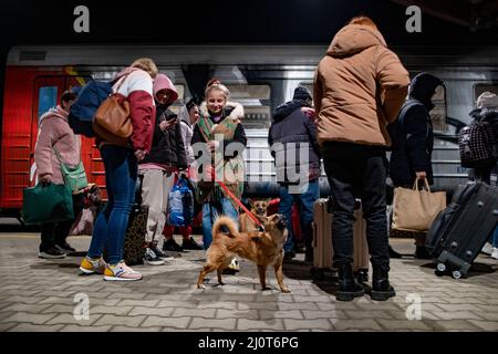 Przemysl, Pologne. 20th mars 2022. Les réfugiés d'Ukraine arrivent à la gare par un train de Lviv, en Ukraine. Environ 1000 personnes étaient à bord du train pour fuir la guerre dans leur patrie. Credit: Christoph Reichwein/dpa/Alay Live News Banque D'Images