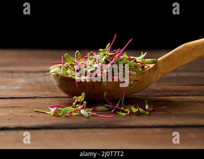 Pousses de betteraves fraîches dans une cuillère en bois sur la table. Microgreen pour salade, détox Banque D'Images