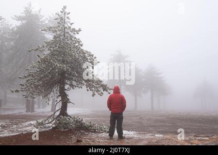 Personne en vêtements de ver trekking dans la forêt en hiver.Tempête de neige en hiver. Banque D'Images