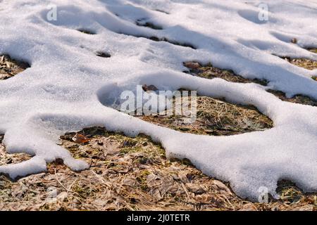 Fonte de la neige sur les champs au début du printemps. Arrière-plan naturel du printemps. Banque D'Images