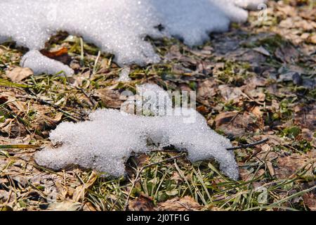 Fonte de la neige sur les champs au début du printemps. Arrière-plan naturel du printemps. Banque D'Images