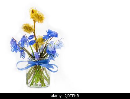 Bouquet de bluebell et un brin de saule à fleurs dans un pot en verre avec un noeud de ruban bleu sur fond blanc avec une copie s. Banque D'Images