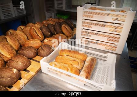 Des petits pains frais de pain artisanal se trouvent sur la table de la boulangerie. Chargement du pain chaud dans des boîtes en plastique blanc pour le transport Banque D'Images