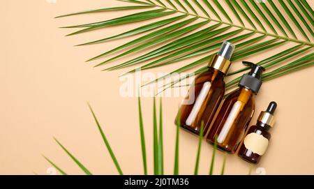 Flacons cosmétiques marron en verre avec pipette, pulvérisateur et distributeur sur fond marron, vue de dessus. Récipients pour produits liquides Banque D'Images