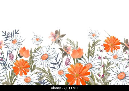 Motif fleuri vectoriel sans couture, bordure. Design horizontal panoramique avec fleurs de prairie blanches et orange sur un blanc. Illustration de Vecteur