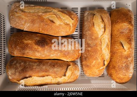 Pain artisanal frais et chaud dans une boîte de transport en plastique blanc. Aliments sains et savoureux produits de boulangerie Banque D'Images