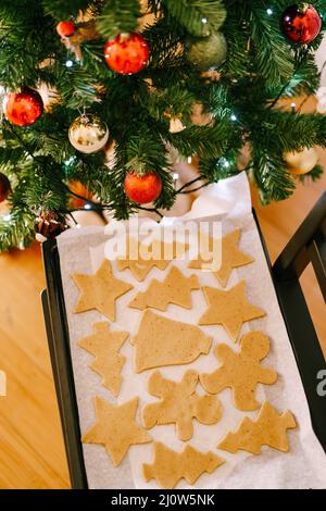 Pain d'épice cru sur une plaque de cuisson sous un arbre de Noël décoré. Banque D'Images