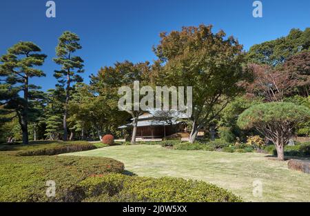 Suwa no Chaya teahouse sur le terrain du Palais impérial de Tokyo. Tokyo. Japon Banque D'Images