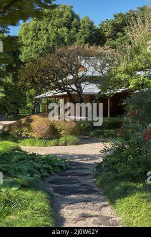 Suwa no Chaya teahouse sur le terrain du Palais impérial de Tokyo. Tokyo. Japon Banque D'Images