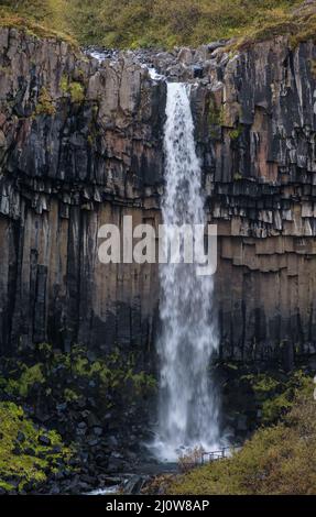 Pittoresque cascade Svartifoss (islandais pour la cascade noire, entouré de colonnes de basalte de lave foncé) vue d'automne, Skaftafell Banque D'Images