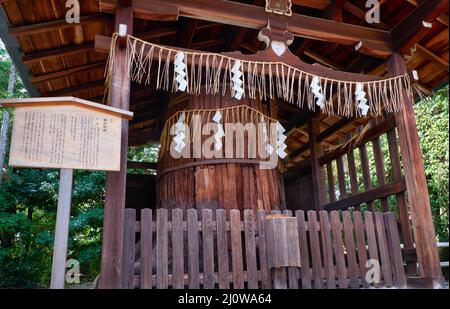 Ayasugi Myojin, le petit sanctuaire au-dessus de l'arbre sacré. Sanctuaire Shikichi-jinja. Kyoto. Japon Banque D'Images